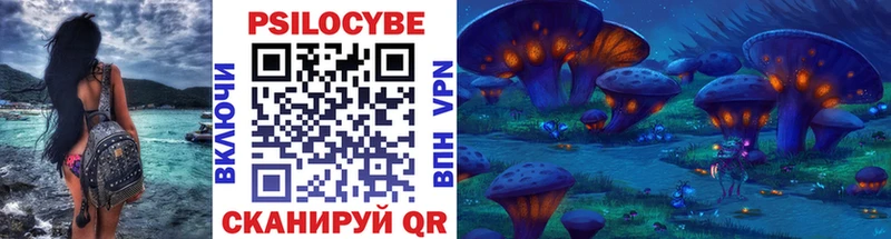 ОМГ ОМГ Жуков Псилоцибиновые грибы Magic Shrooms хочу наркоту